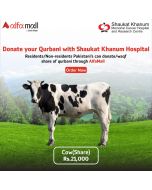 Cow Share Qurbani by Shaukat Khanum Hospital