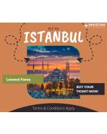 Fly to Istanbul