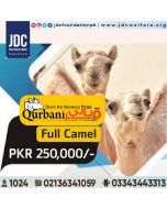 Full Camel Qurbani by JDC Foundation