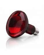 Beurer Spare Bulb For Infrared Lamp With 100 Watt (614.51) On Installment ST With Free Delivery  