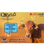 Qurbani Single Share in Cow - Eid 2nd Day Delivery