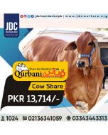 Share Cow Qurbani by JDC Foundation