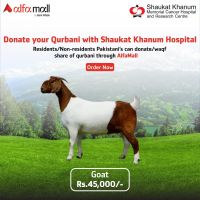 Goat Qurbani by Shaukat Khanum Hospital