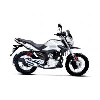 RP-150CC Robinson |On Installments By Yadea Bikes|