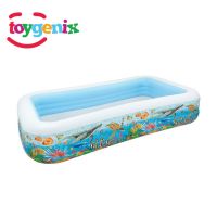 INTEX Family Deluxe Mini Swimming Pool 80X60X17 Inch (57180) With Free Delivery On Installment By Spark Technologies.