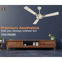 Chenab vivo Ceiling Fan With Free Delivery | ON Installment