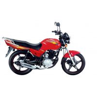 RP-125CC Twister |On Installments By Yadea Bikes|