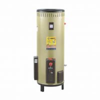 Golden Fuji Electric Geyser Heavy Gauge Electric + Gas Auto Ignition 40 Gallons - (Installments) ET