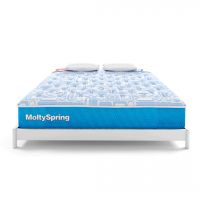 Molty Spring by Master Molty Foam - On Installments | 0% Markup