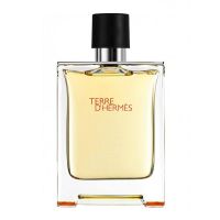 Hermes Terre D'Hermes Pure Perfume Eau de Parfum, 75ml | On Installments by Naheed Super Store
