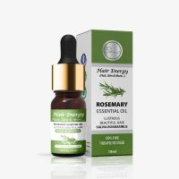 Rosemary-essential-oil-salvia-rosmarinus