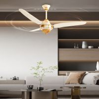 Royal Deluxe Imperial Ceiling Fan┃On Installment 