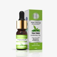 Tea-tree-essential-oil-melaleuca-alternifolia