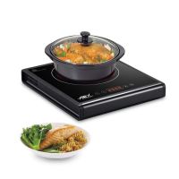 Anex AG-2167 Deluxe Hot Plate ON Installment