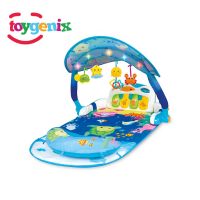 Winfun - Cute Musical Baby Playmat For Kids (0860) With Free Delivery On Installment By Spark Technologies.